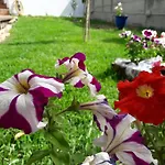 Dimitra 2* Tsoukalaíika