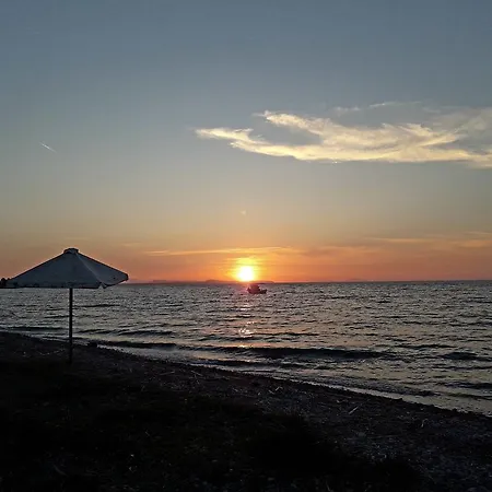 Dimitra Tsoukalaíika