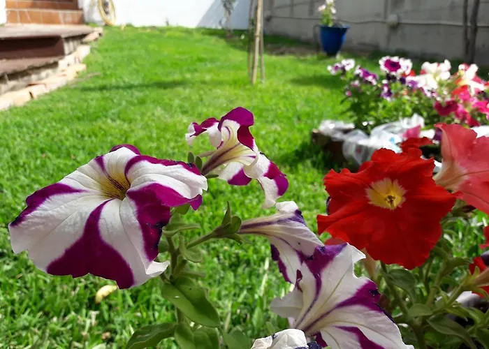 Dimitra 2* Tsoukalaíika