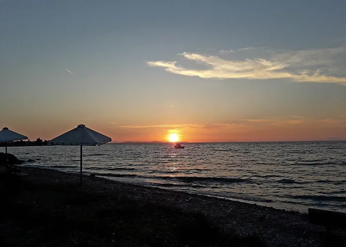 Dimitra Tsoukalaíika